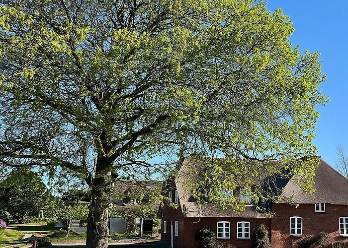 Lägenhet Faehrmanns Hues Luv *